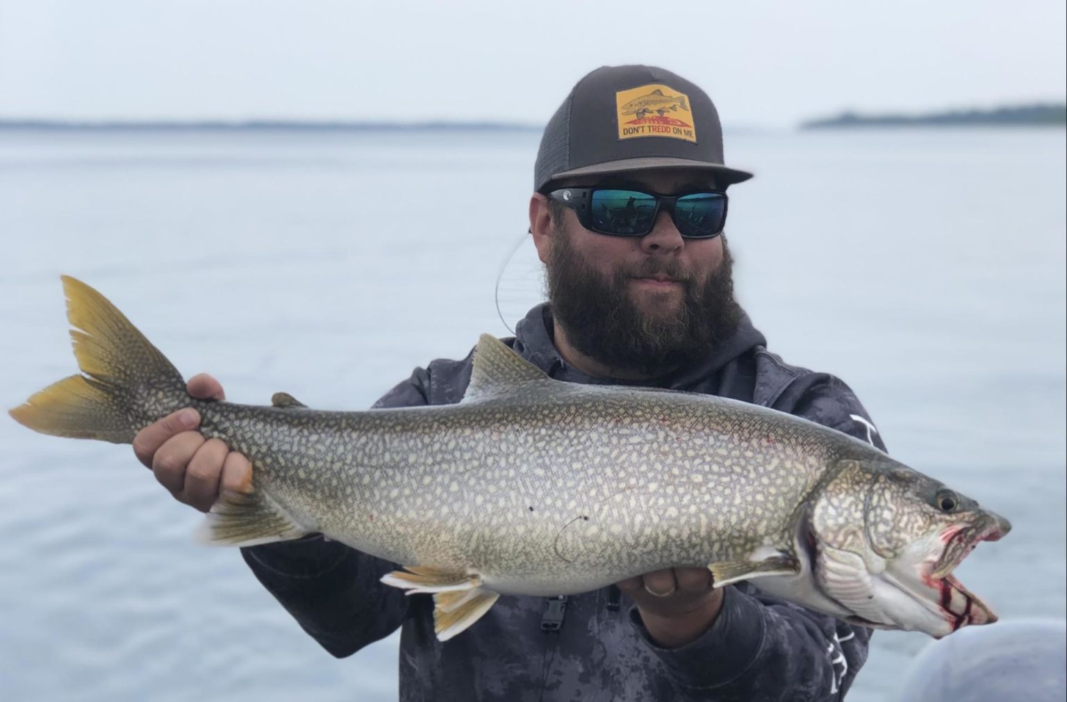 Fish Candy DryBrined and Smoked Lake Trout