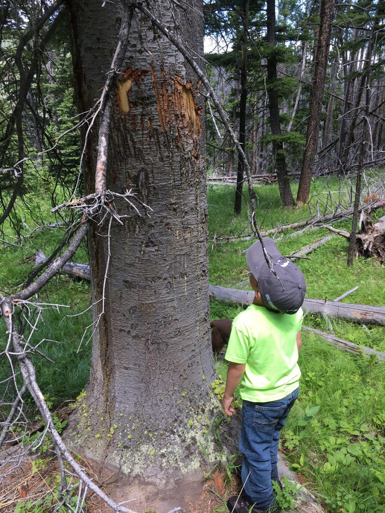 children outdoors, kids outdoors, free range american, shed antler hunting, camping, hiking