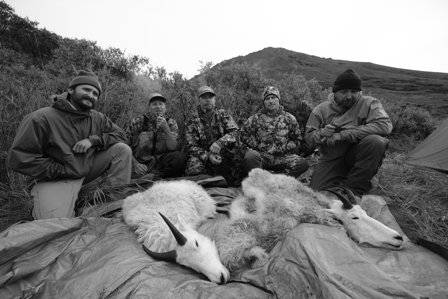 mountain goat backstrap, hunting, food, alaska, free range american