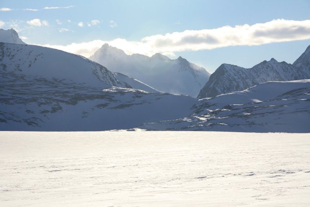 antarctic ice marathon, free range american