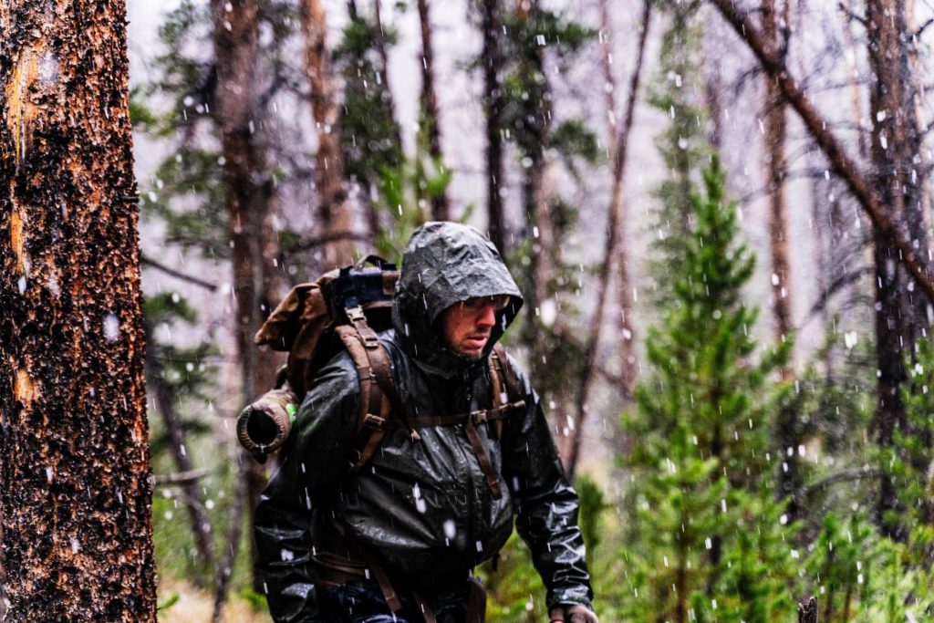 OTC archery elk hunting, Colorado, Free Range American