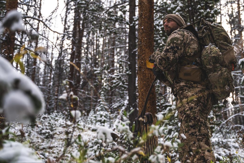 OTC archery elk hunting, Colorado, Free Range American