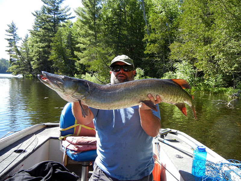 muskie fishing, canada, free range amerian