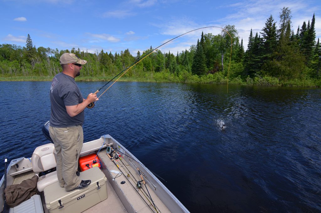 muskie fishing, canada, free range amerian