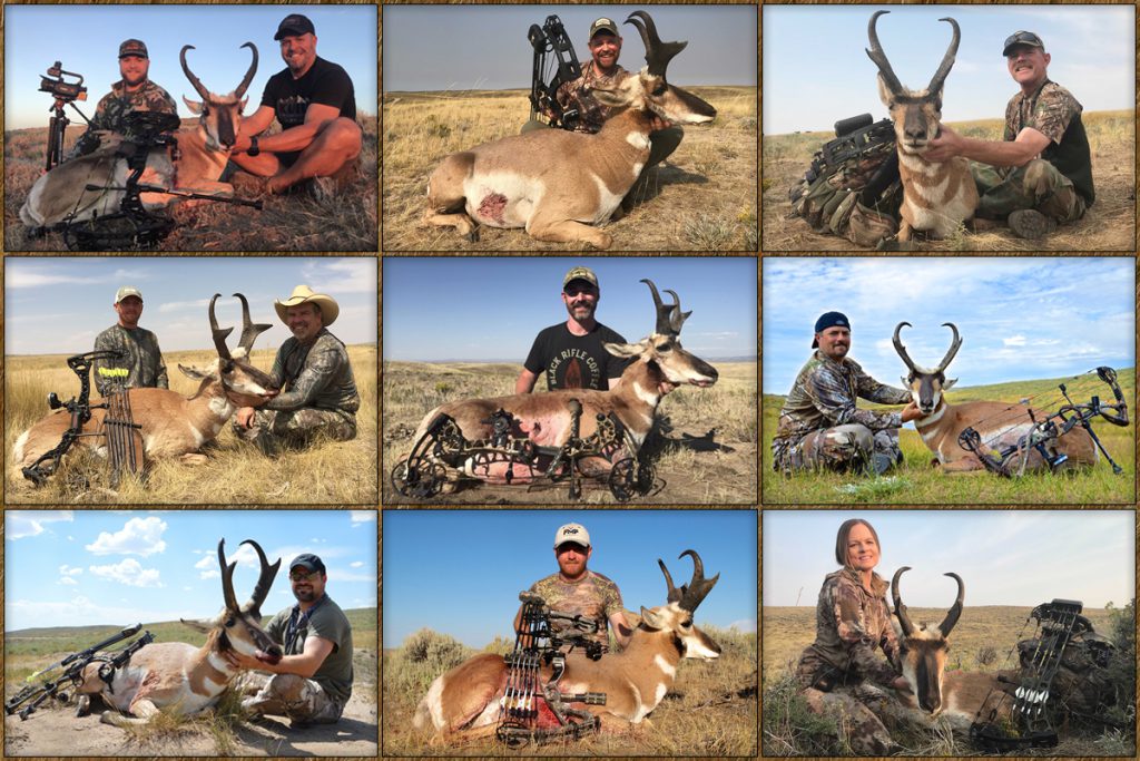 archery pronghorn hunting, free range american