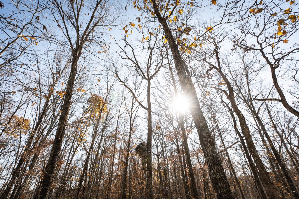 urban sportsman, bowman, hunter, whitetail, washington dc, urban hunting