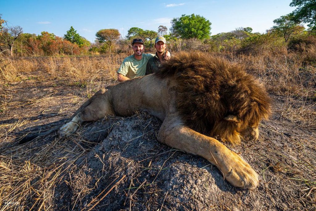 hunting lions tanzania