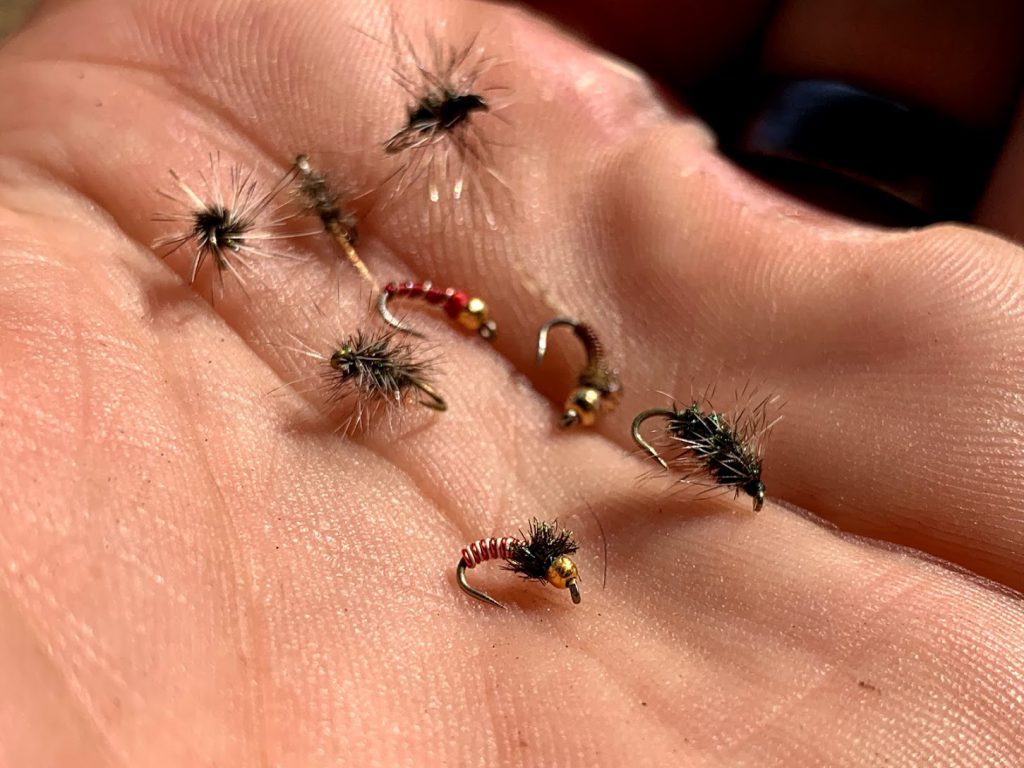 learning to fly fish, starter kit gear, flies