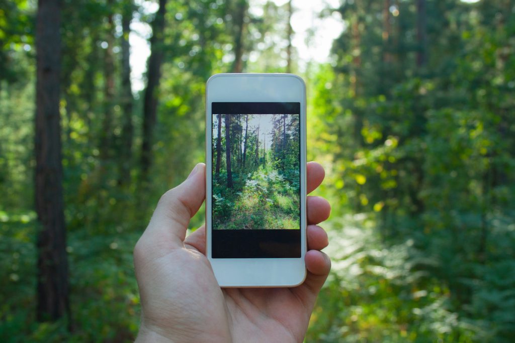 Know Every Plant: A Cool and Useful Flora Identification Smartphone App