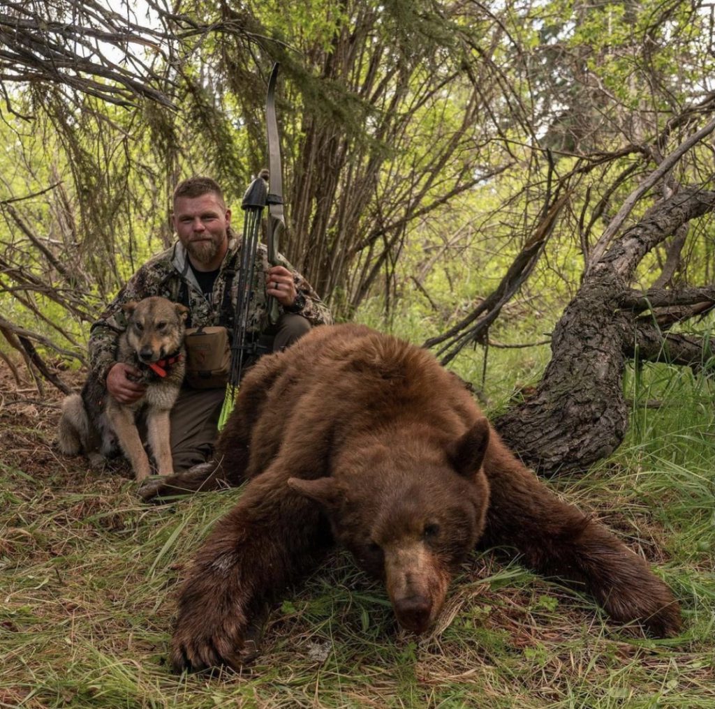 Grizzly bow hunt