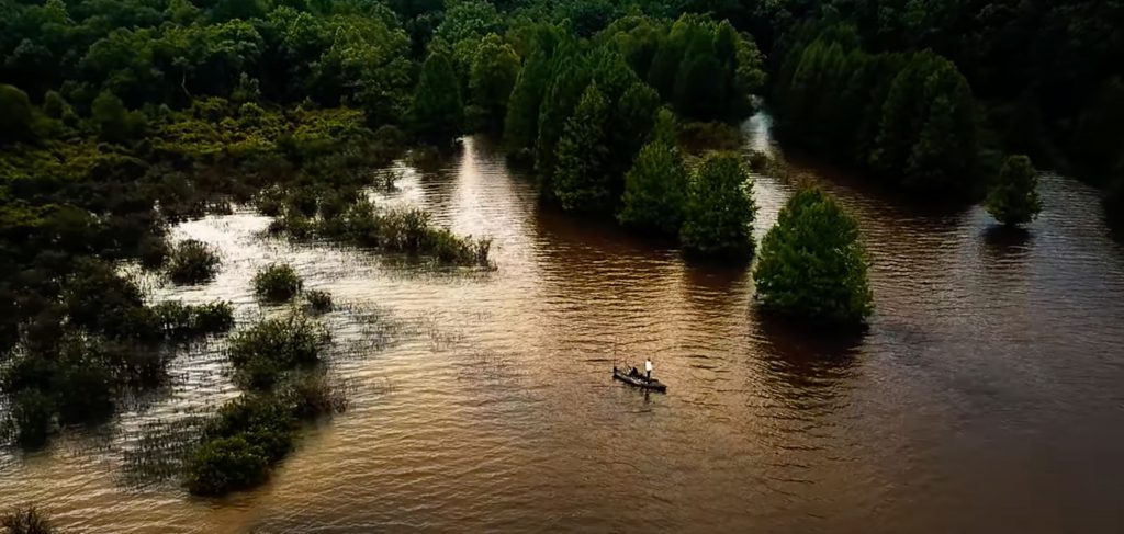 What You Need to Know About Fishing Kayaks