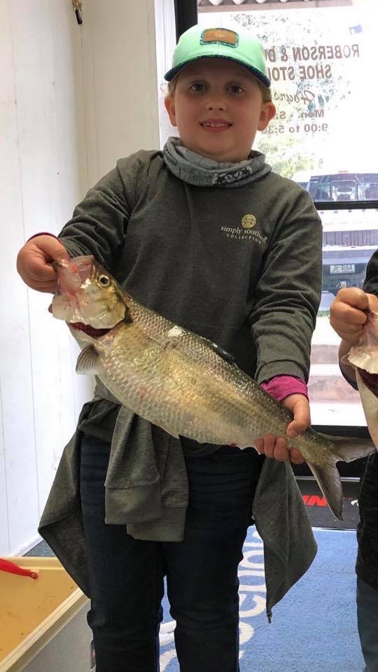 Tar River shad madness - Carolina Sportsman