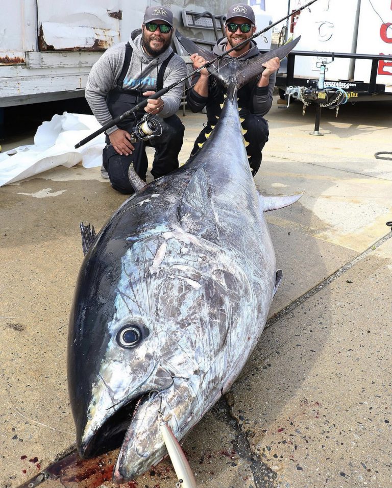 Huge Bluefin Tuna Caught Off New Jersey Coast