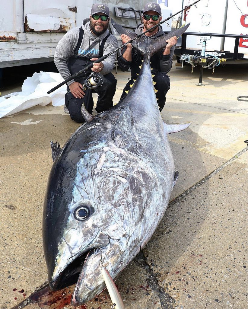 Huge Bluefin Tuna Caught Off New Jersey Coast