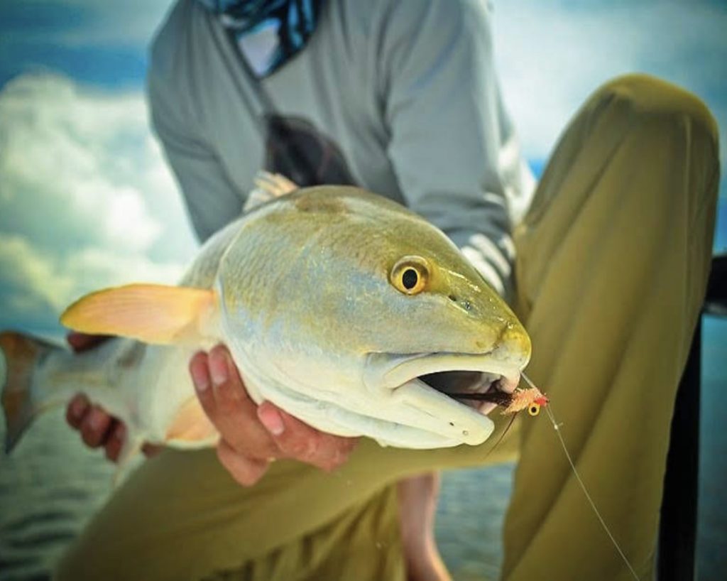 state fish Photo by Eric Estrada.