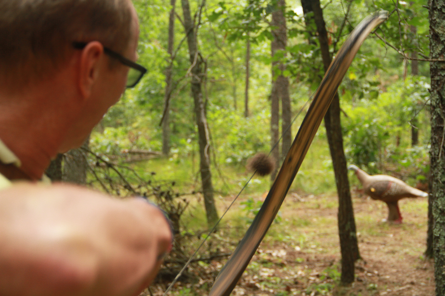 backyard bowhunting range 3d targets