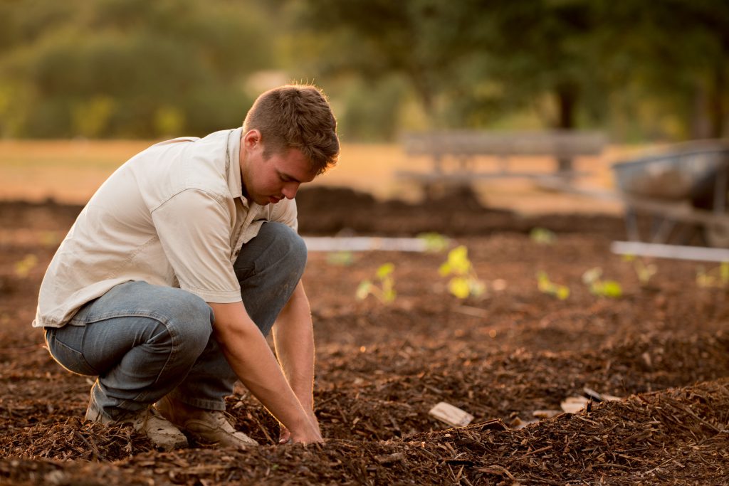 gardner farmer planting checklist seeds