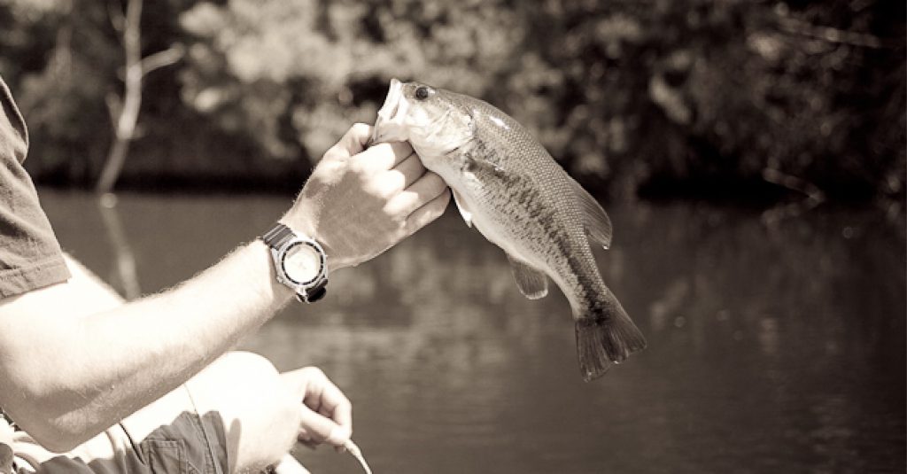 fly fishing for bass Father's day