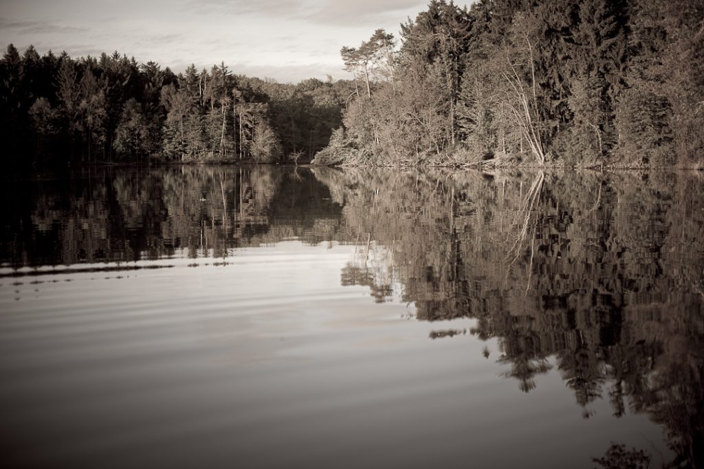 fly fishing for largemouth bass