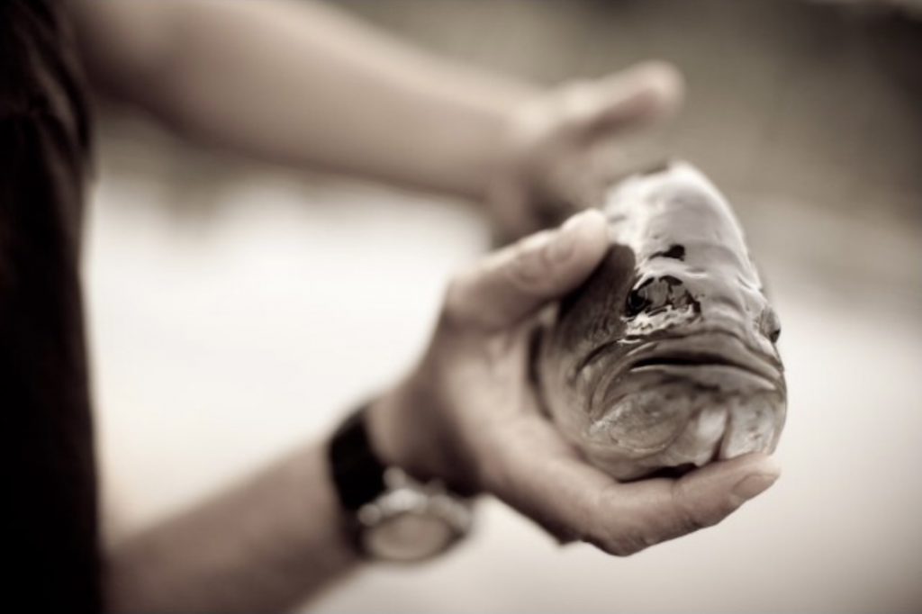 A Father's Day Lesson When the Bass Aren't Biting