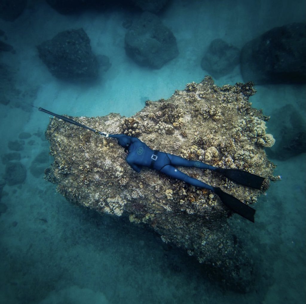 Mark Healey spearfishing