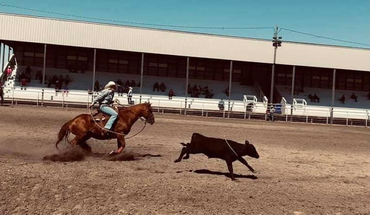 roping a calf at the rodeo
