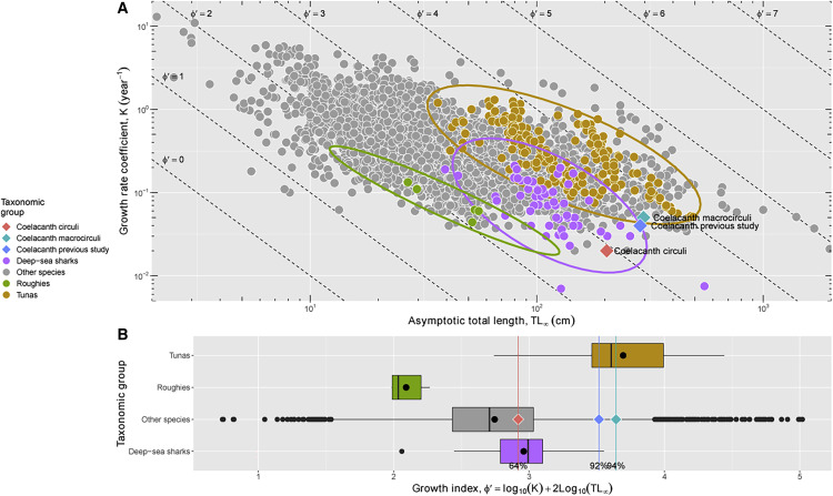 scientific study of the coelacanth