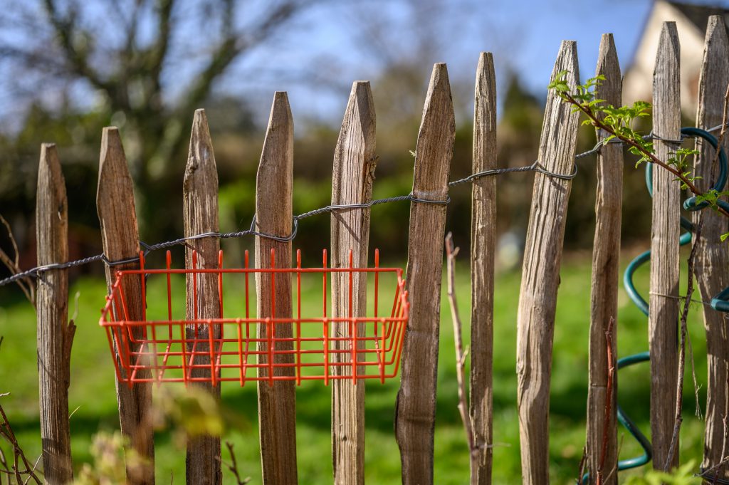 garden fence to protect from larger pests