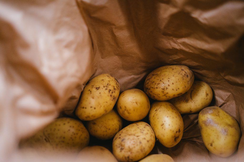 year-round harvest root cellar