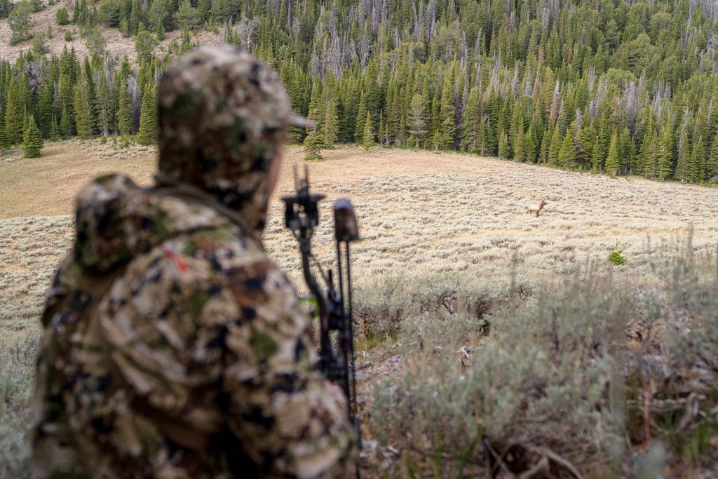 elk hunting e-scouting bow hunting