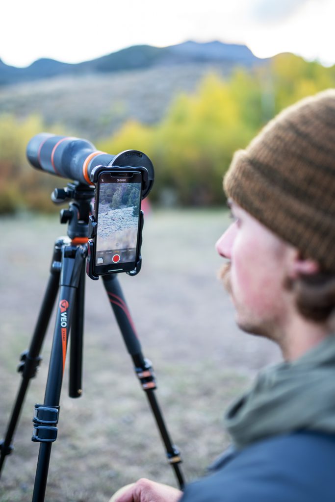 glassing a bull with a spotting scope and smartphone