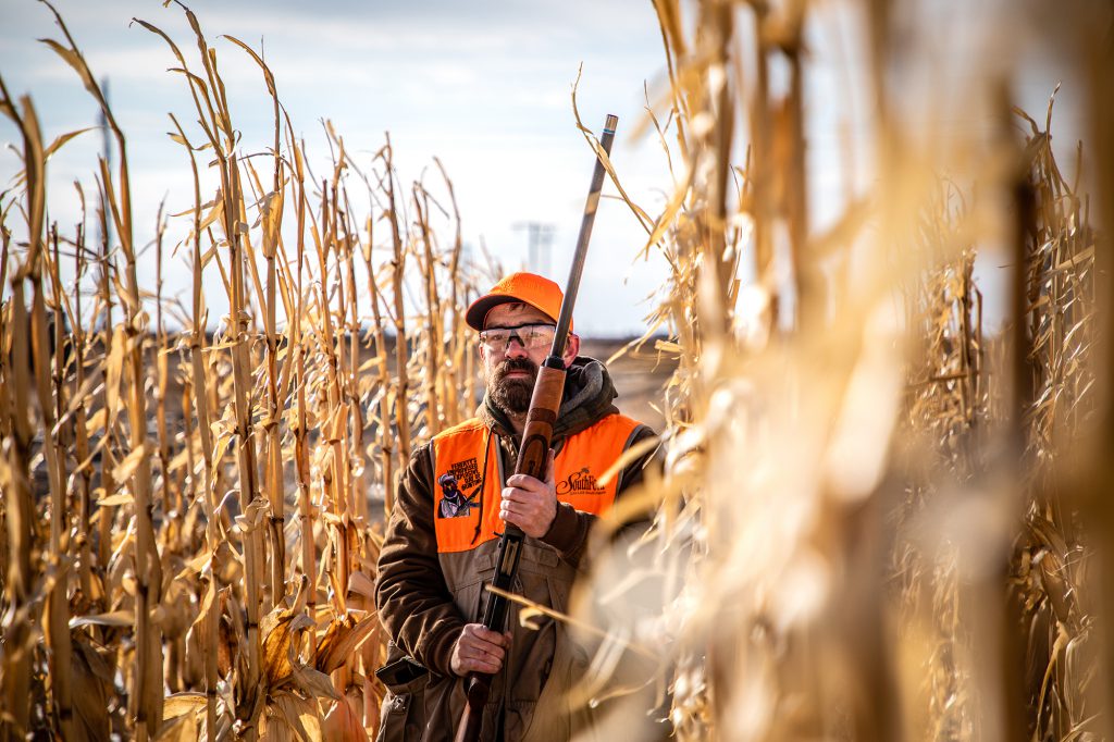 hunter in orange walks in corn with shotgun