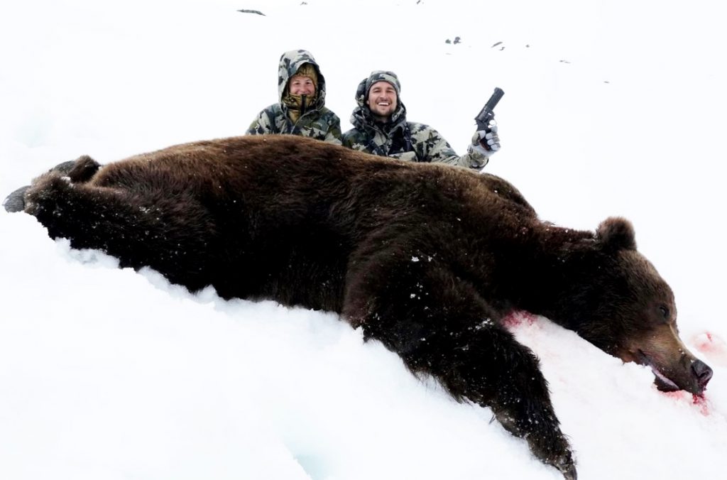 brown bear attack