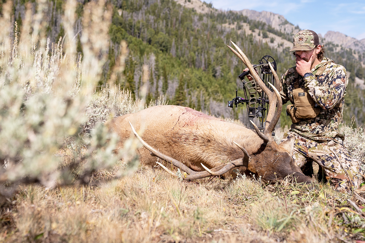 public-land elk hunting first elk bow hunting