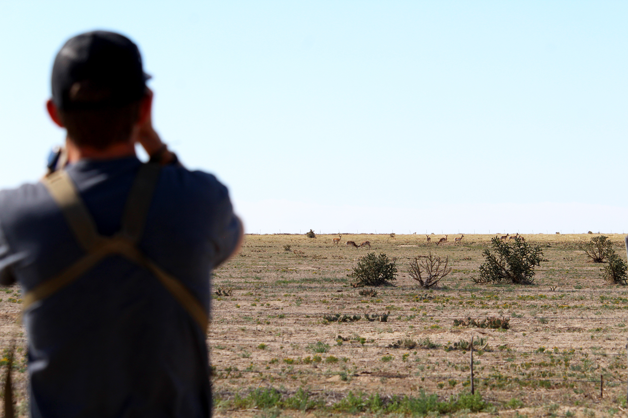 glassing in open plain