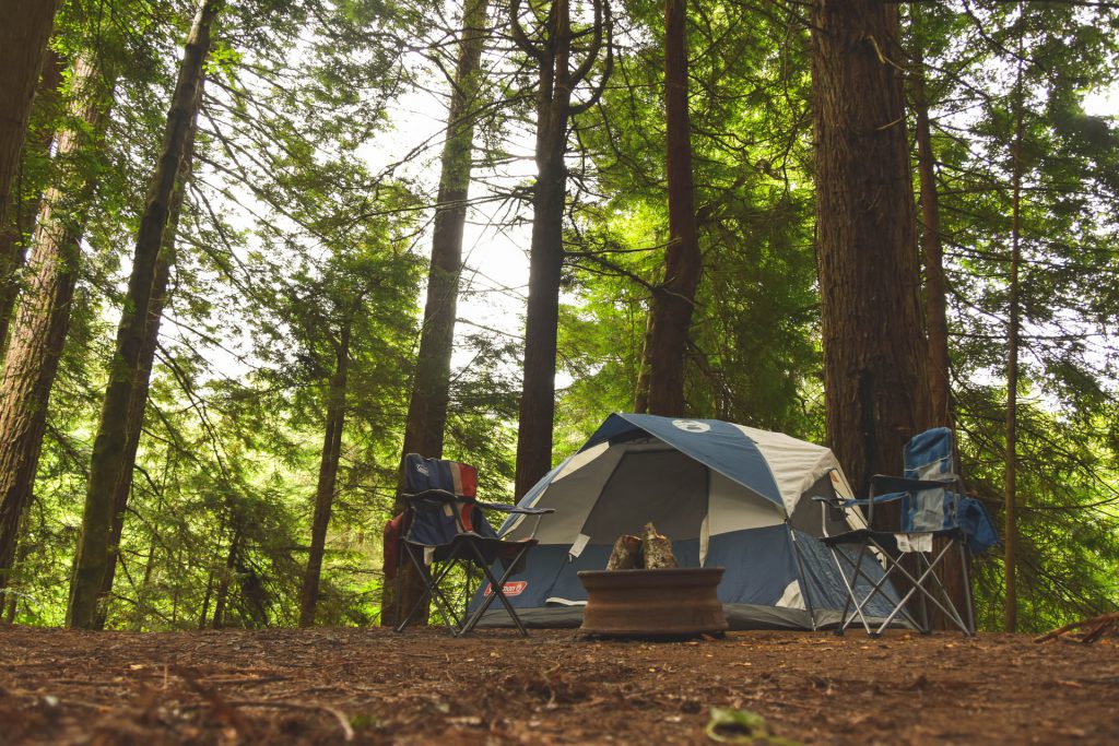 bear country camping precautions