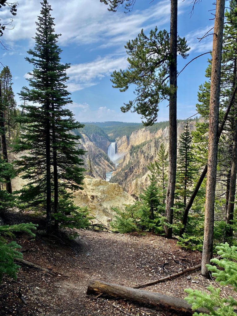 yellowstone national park