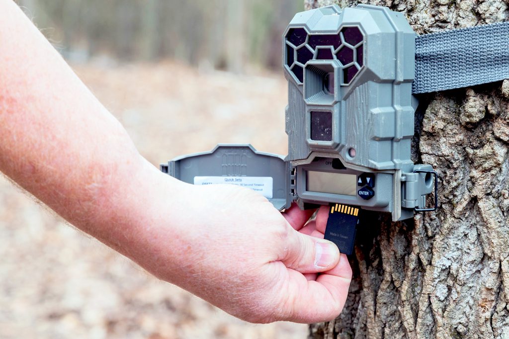 man taking the SD card out of a motion activated trail camera