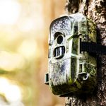 camo trail camera on a tree