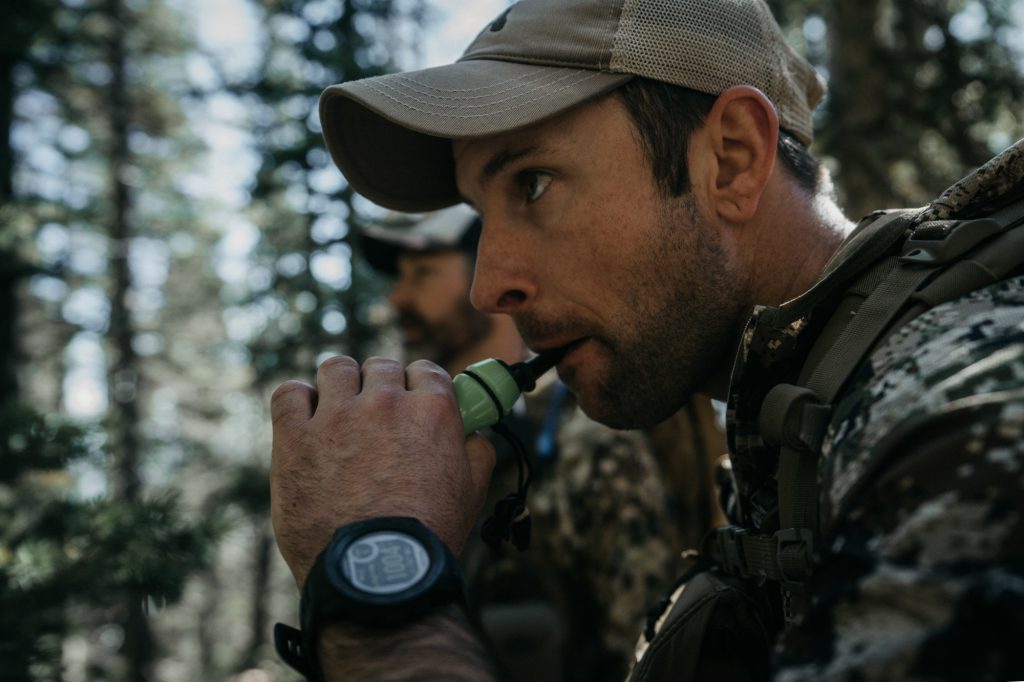 cursed elk hunt colorado archery mountains hunting west