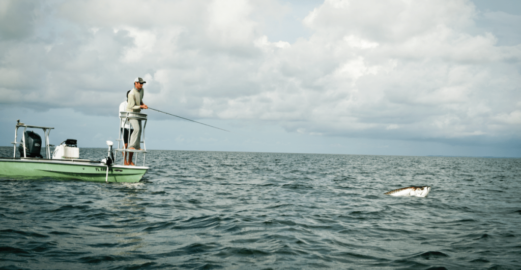 florida tarpon fishing