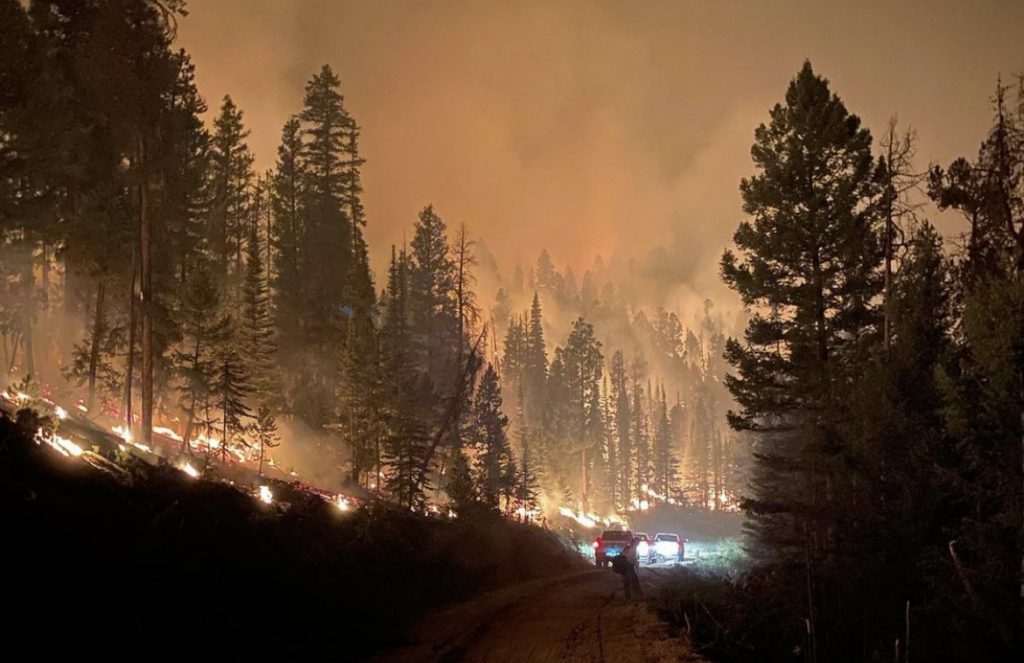 trail creek fire montana