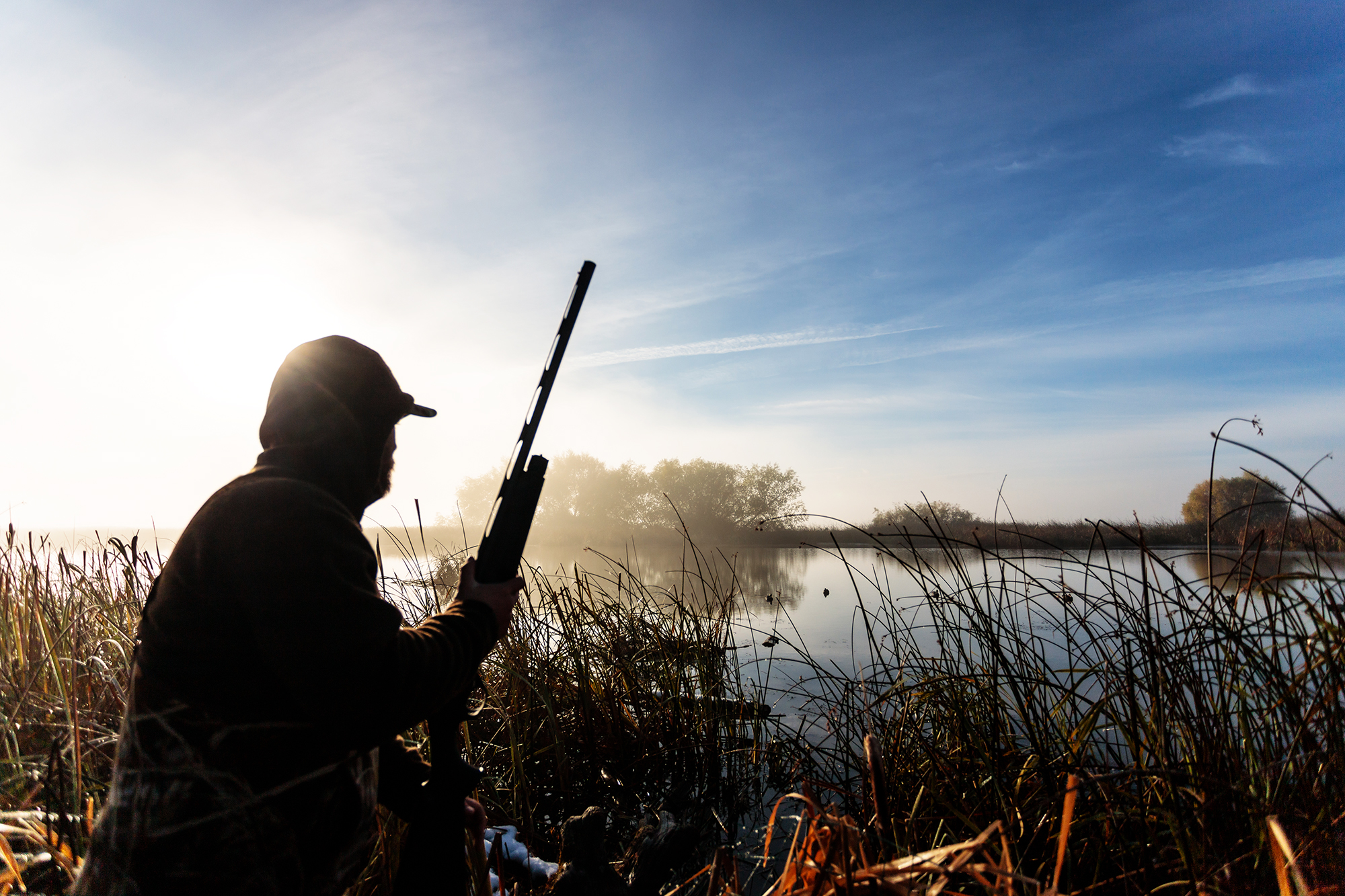 duck hunter with semi-auto shotgun