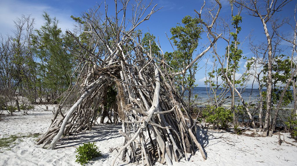 Primitive tepee structure built on the beach