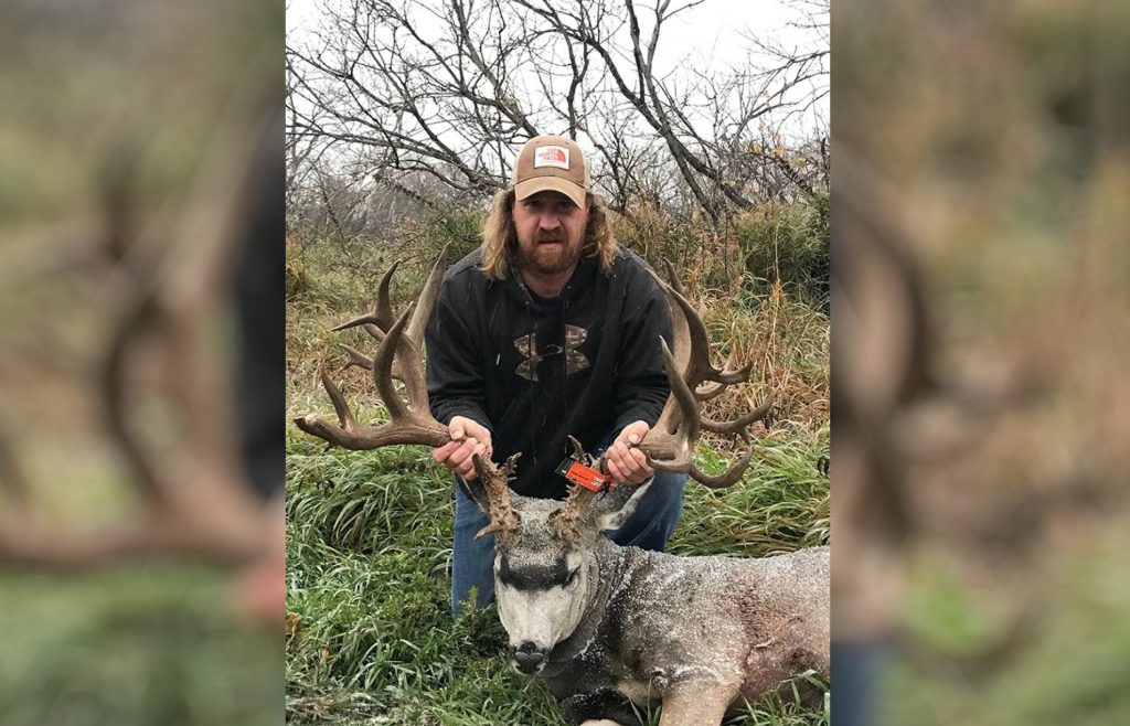 Bennett mule deer world record