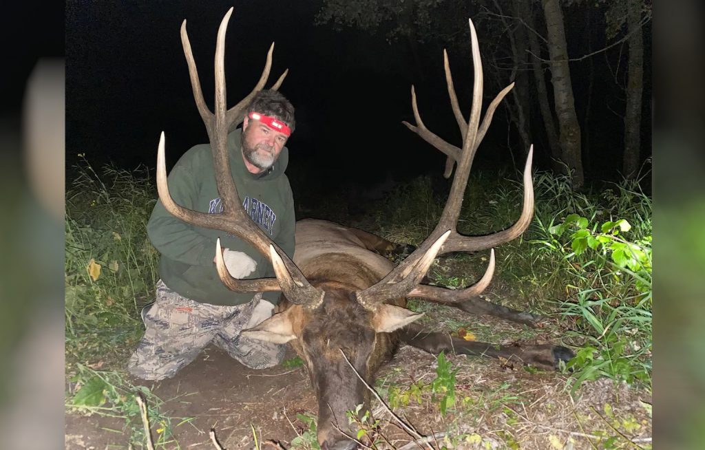 biggest bull elk in the world