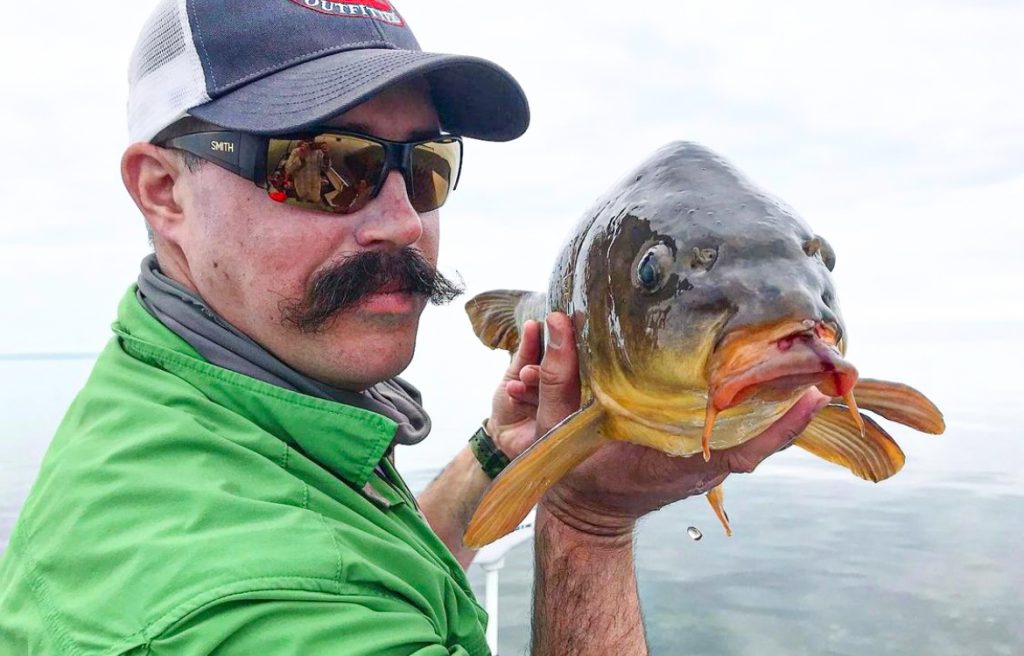 mustache and carp