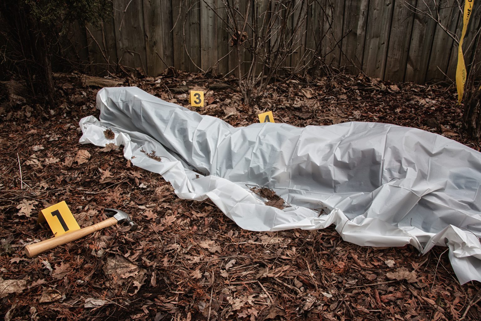 National Park Murders Hundreds Killed, Missing No One Is Talking