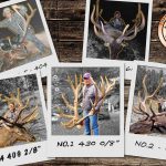 world record archery elk