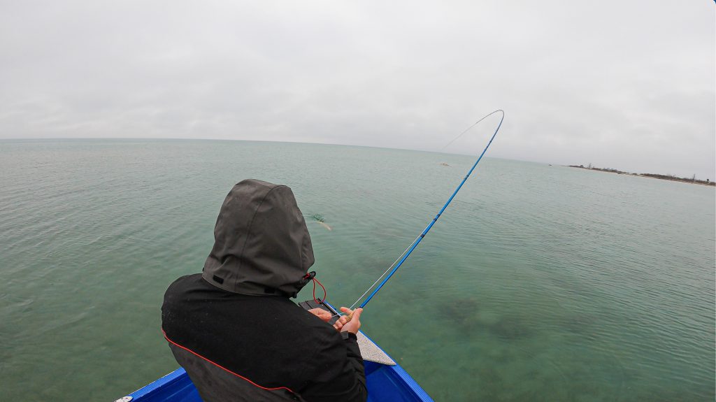 Carp Crazy: A Fly-in Fishing Adventure on Lake Michigan's Beaver Island